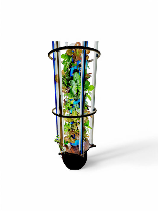 Kalp-Taru: The Indoor Wish Tree