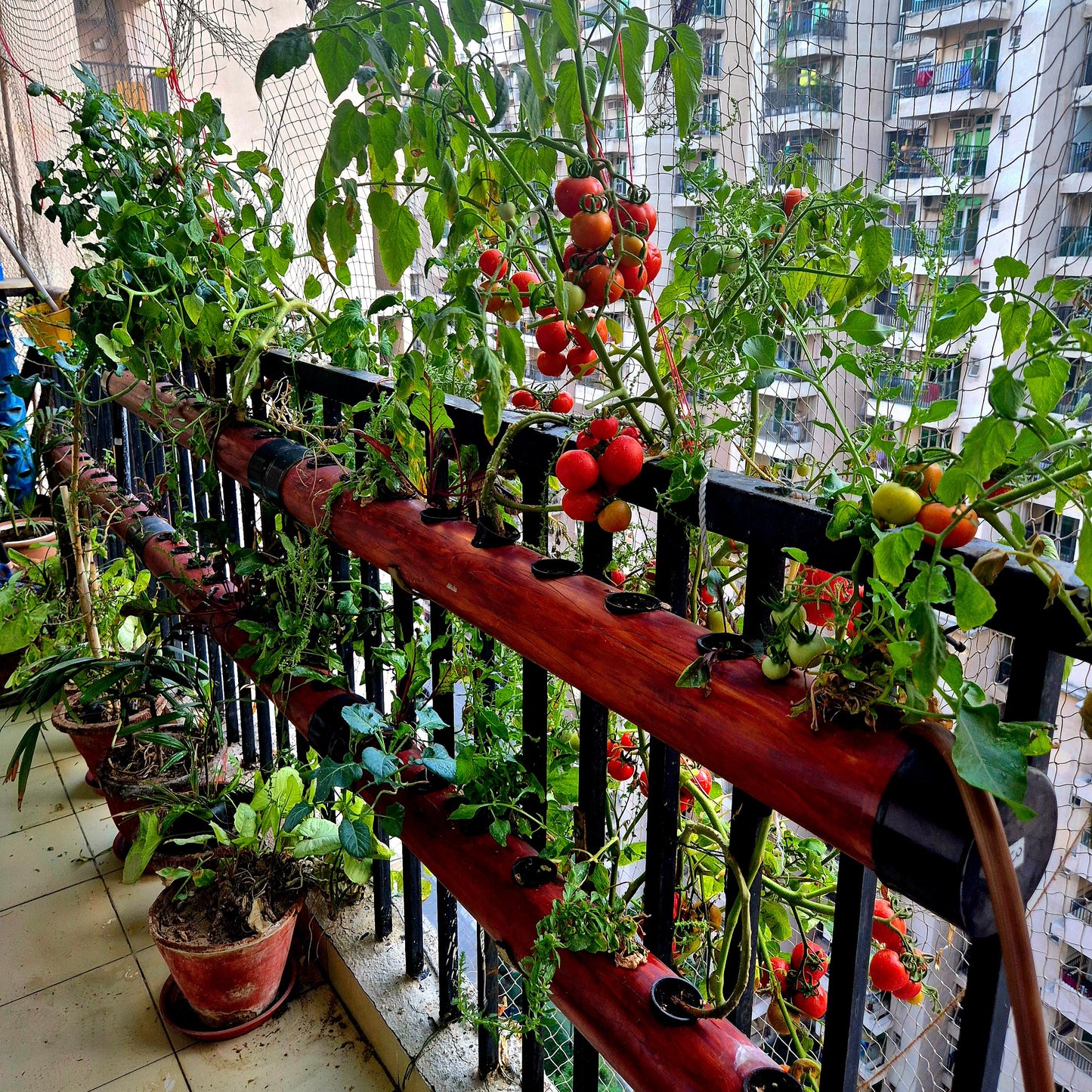 Balcony Bageecha