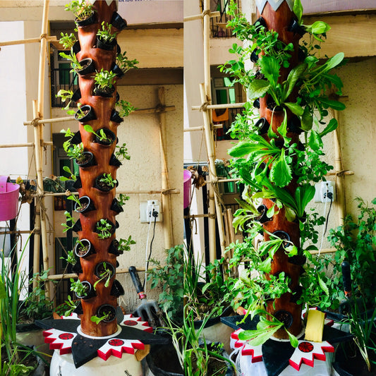 Kalp-Taru: The outdoor wish tree