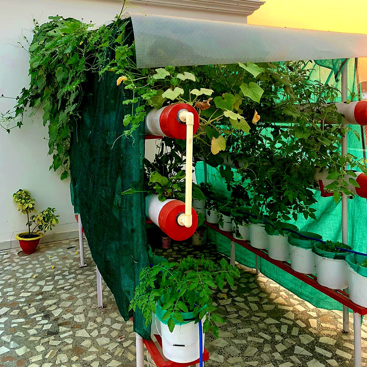 Balcony Bageecha