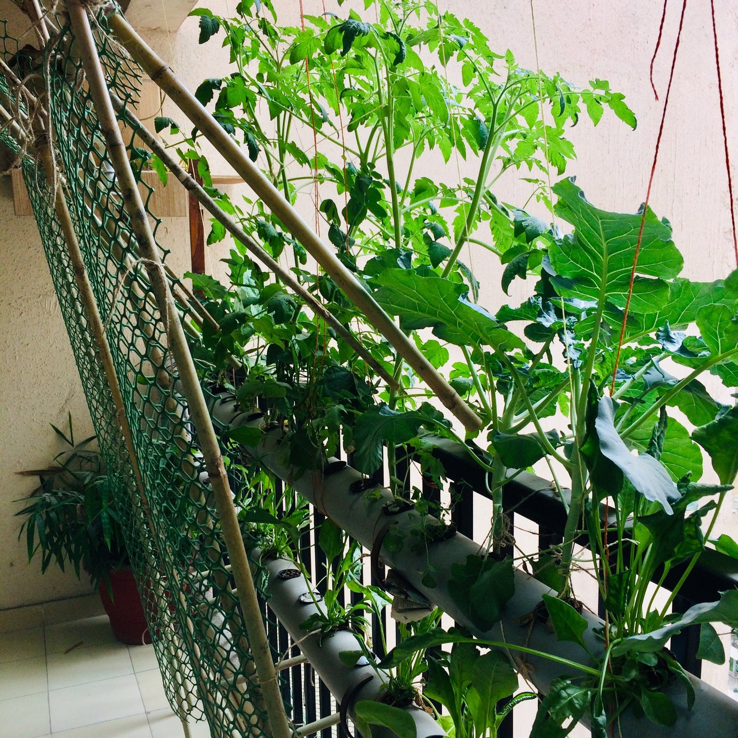 Balcony Bageecha