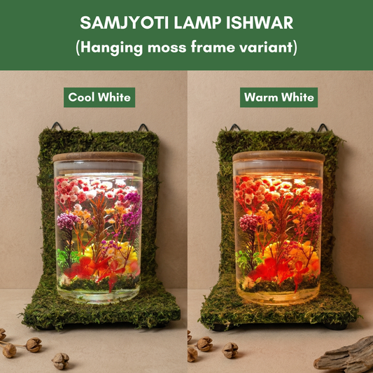 Nature Samjyoti Lamp