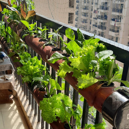 Balcony Bageecha