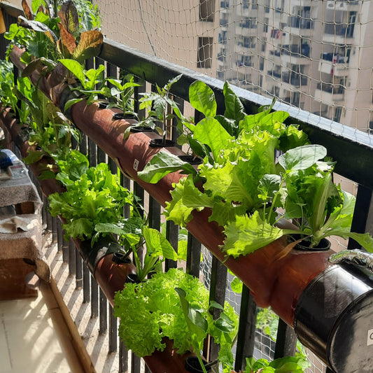 Balcony Bageecha