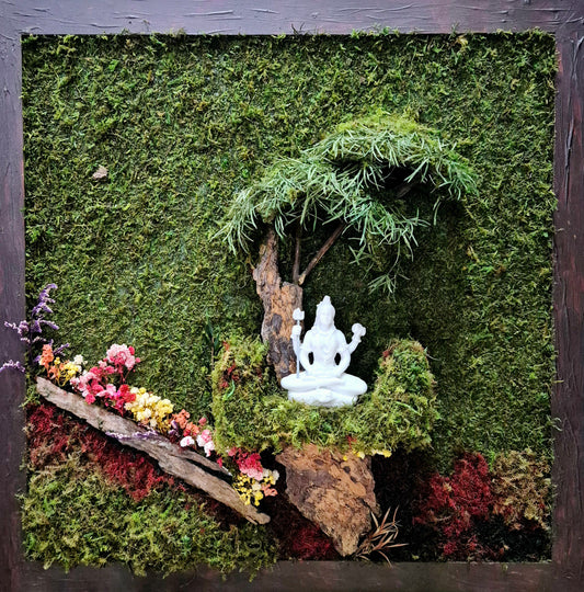 Meditations of the Mahadeva