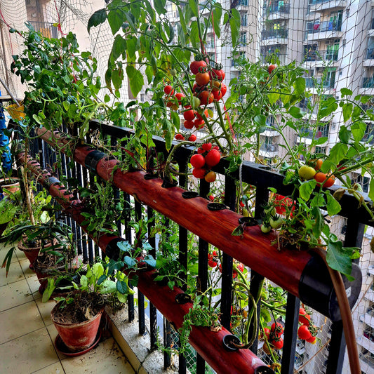 Balcony Bageecha
