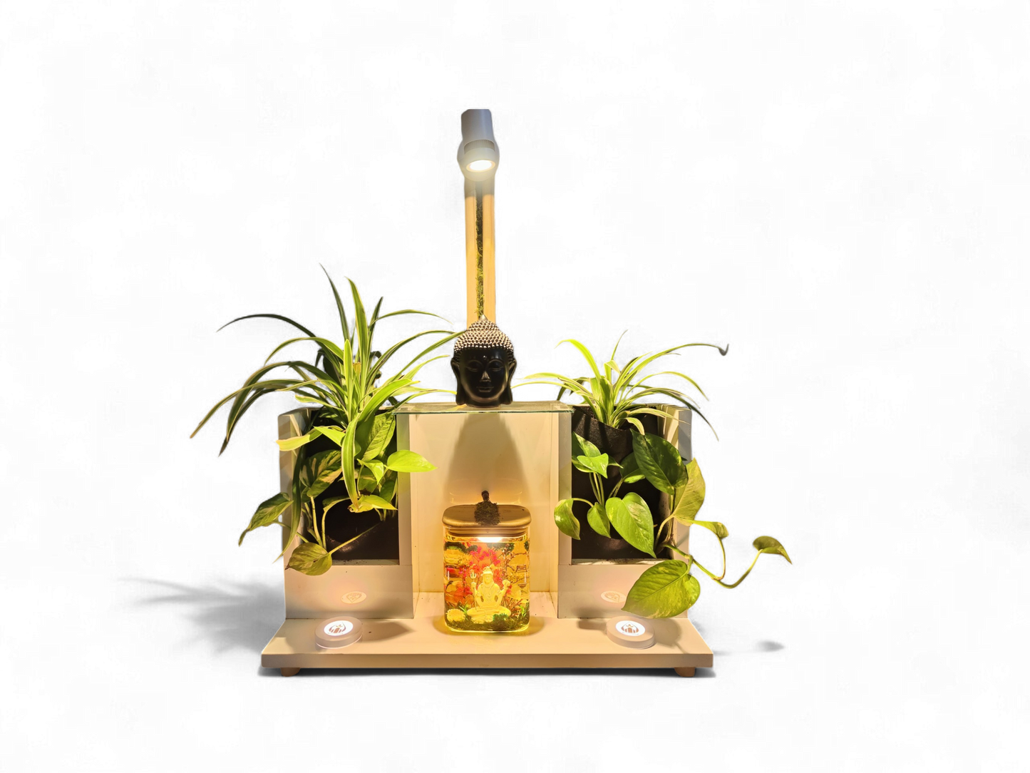 Prakriti Glow