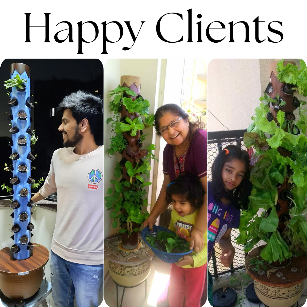 Kalp-Taru: The outdoor wish tree